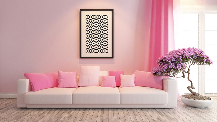 Pink colour drawing room